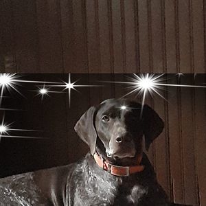 Meet your Posher, Terry